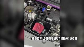 จีเอซี ทรัมป์ชี ชาโดว์ ลีโอพาร์ด 1.5T